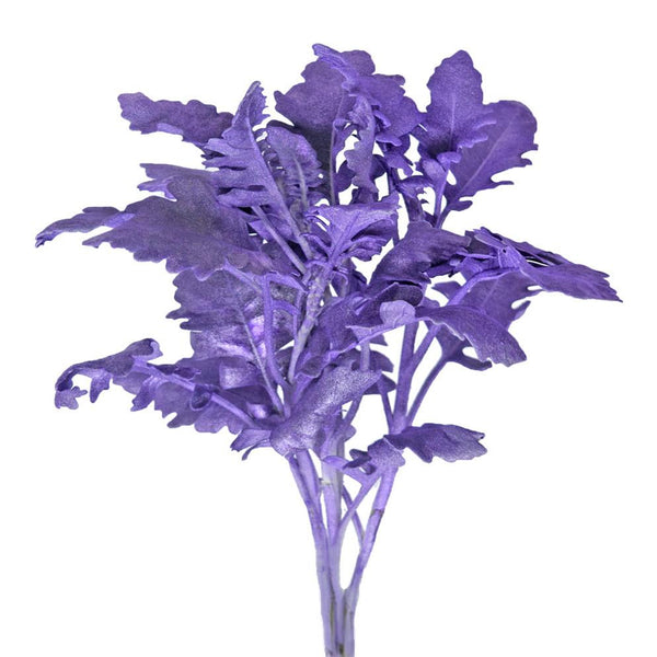 Dusty Miller Tinted Purple Metalized – La Hacienda Flowers