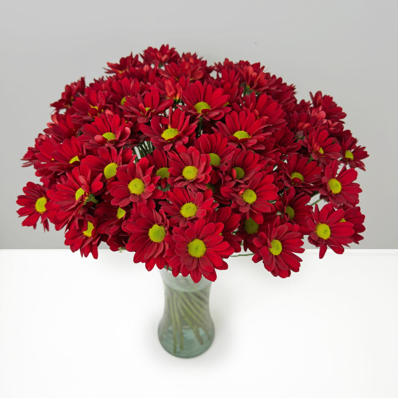 Spray chrysanthemums