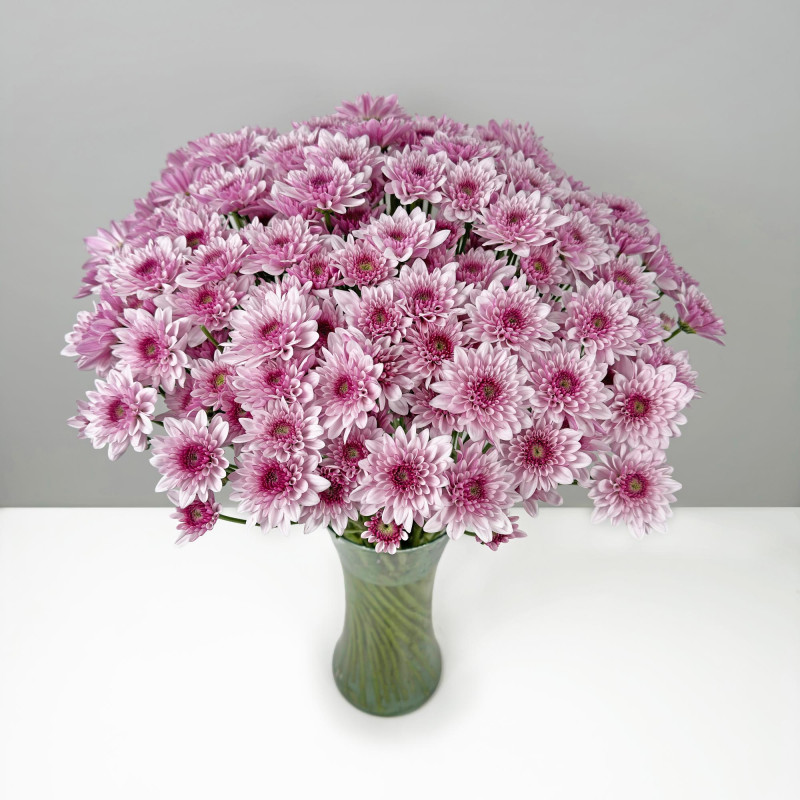 Spray chrysanthemums