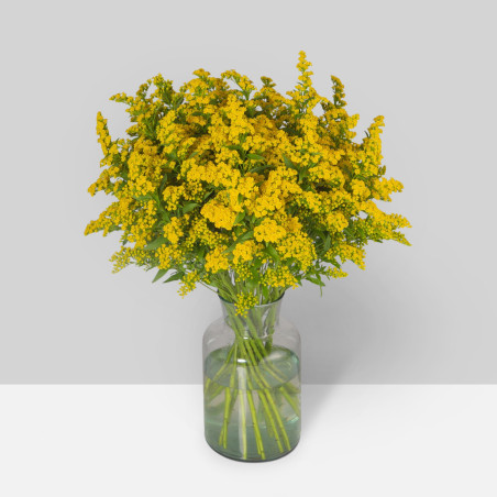SUMMER FLOWERS