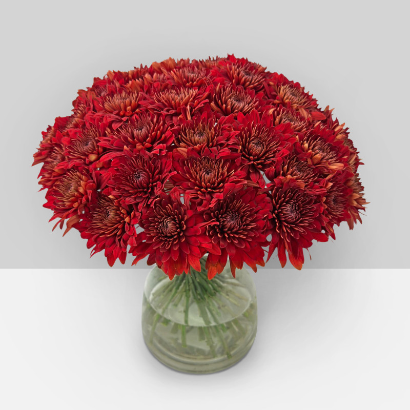 Spidermums