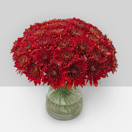 Spidermums