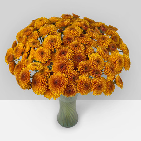 SUMMER FLOWERS