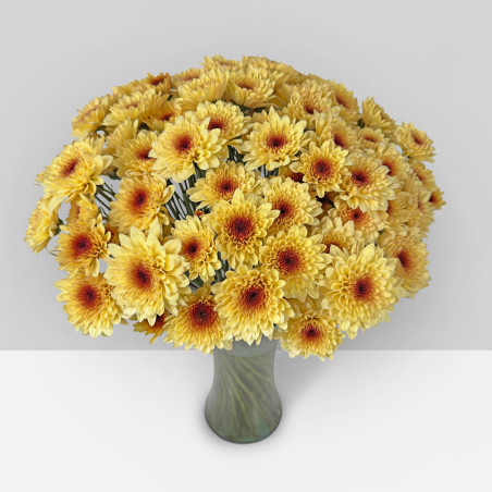 SUMMER FLOWERS