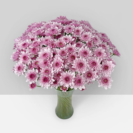 SUMMER FLOWERS
