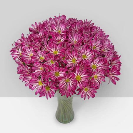 SUMMER FLOWERS