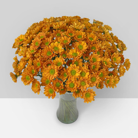 SUMMER FLOWERS