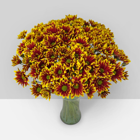 SUMMER FLOWERS