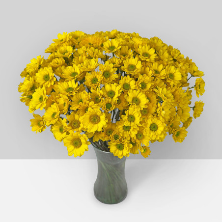 SUMMER FLOWERS