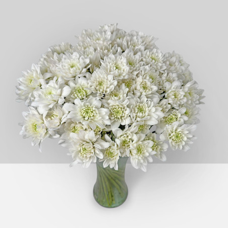 SUMMER FLOWERS