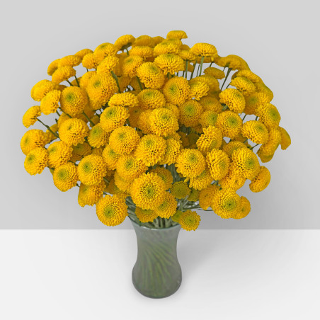 SUMMER FLOWERS