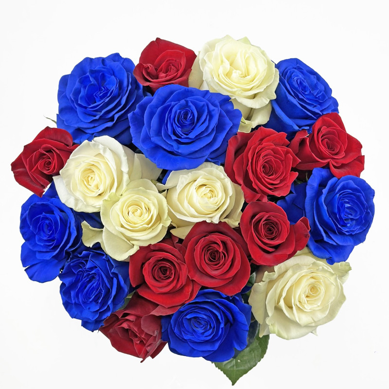 Rainbow USA