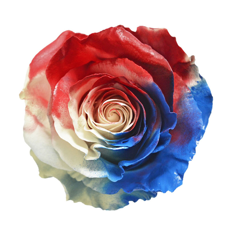 Patriot Dream