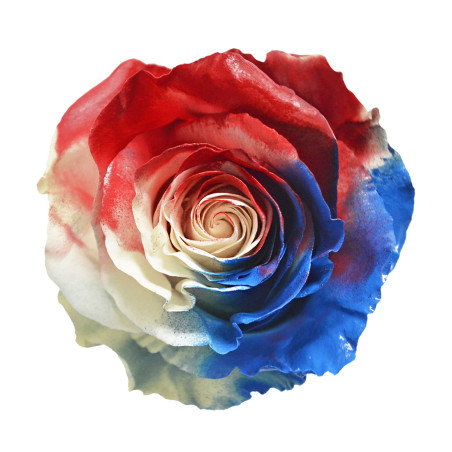 4th of July