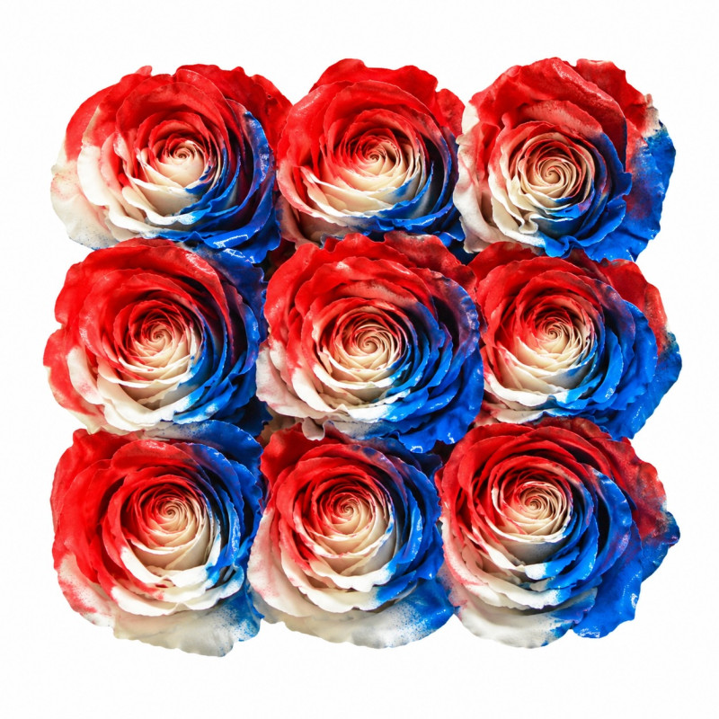 Patriot Dream