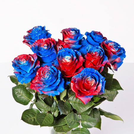 Liberty Bloom