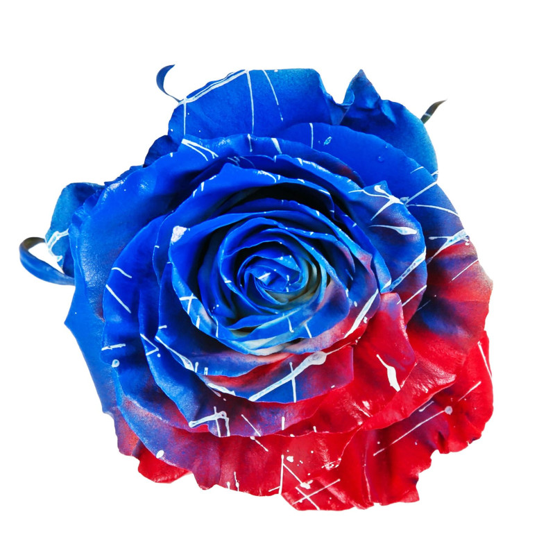 Liberty Bloom