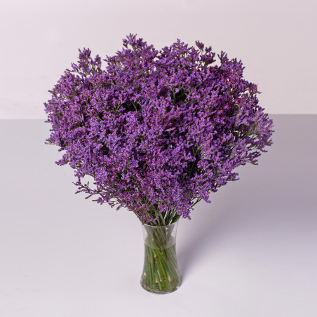 Limonium