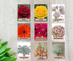 Colorful - Mix Box - 130 stems