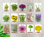 Summer - Mix Box - 150 stems