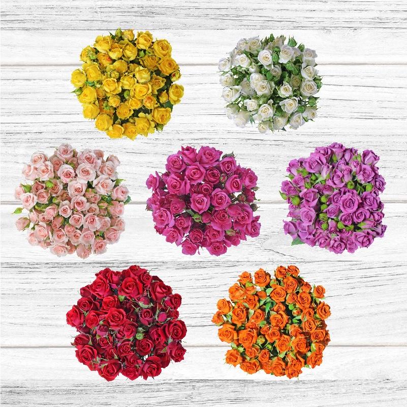 BloomsByTheBox has Floral Sprays for Dyeing Wholesale Flowers!