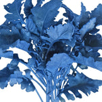 Dusty Miller Tinted Blue Metalized