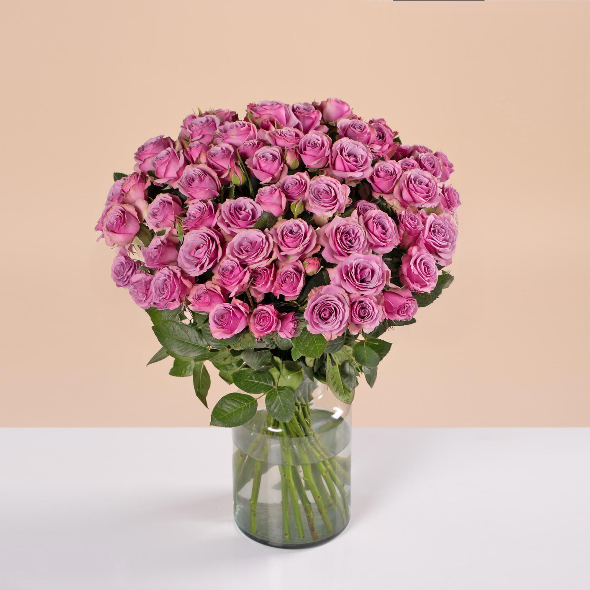 Highland Spray Roses