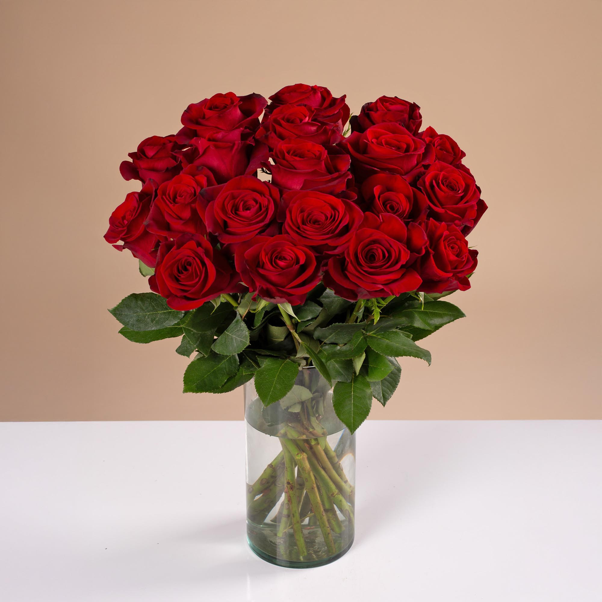 Freedom|ROSES|La Hacienda